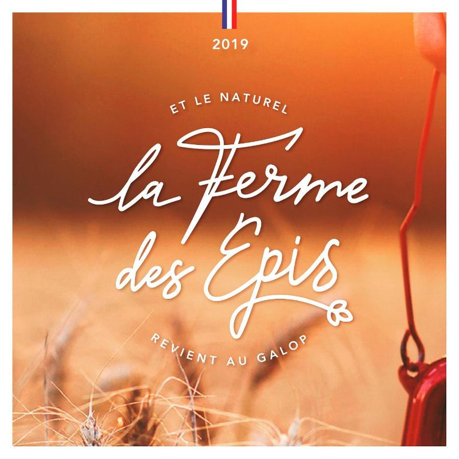 La Ferme Des Epis Landhuis Ouffieres